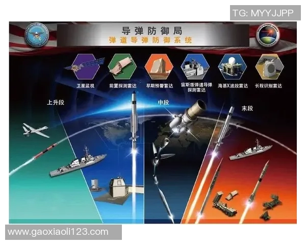 南京排球队防反体系解析与战术创新研究