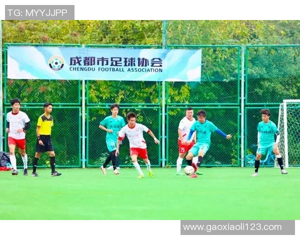成都足球队的节奏揭秘:激情与梦想交织的绿茵传奇