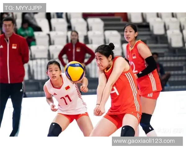 聚焦排球：探讨武汉排球队员个人能力与团队协作的关系